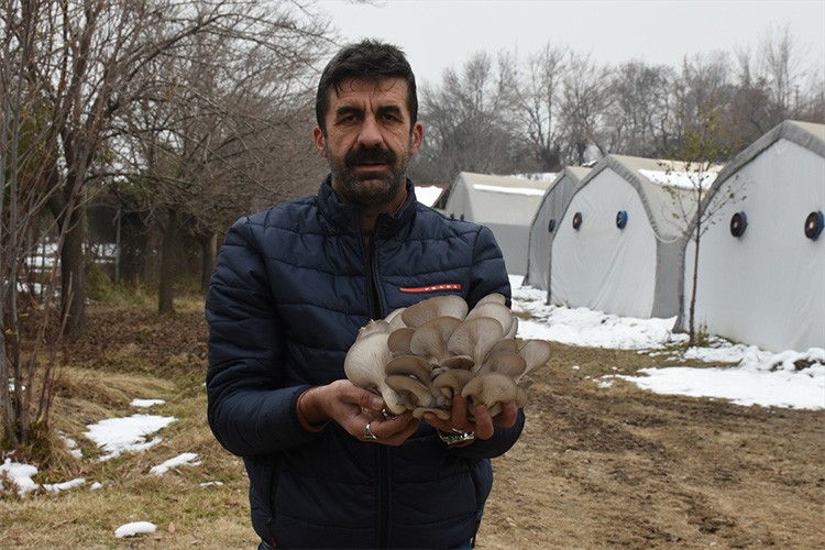 Malatya'da yılda yaklaşık 95 ton mantar üretiliyor