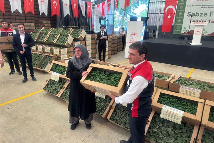 Silivri'de 740 bin sebze fidesi çiftçilere dağıtıldı