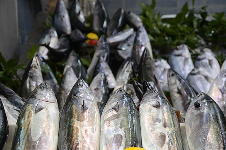 Yasak kalktı fiyat arttı