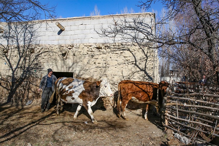 Van'da 95 engellinin işini kurması sağlandı