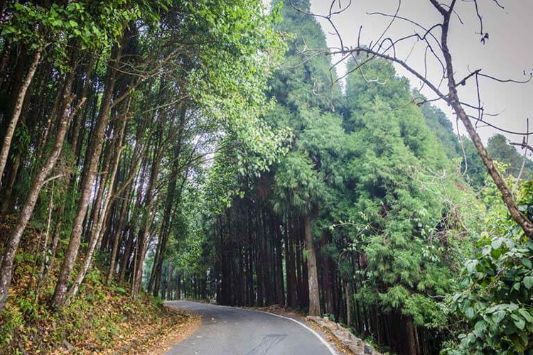 Yeni yol işi yaptırılacak