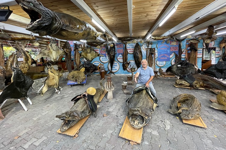 Türkiye'den deniz canlıları müzesine davet