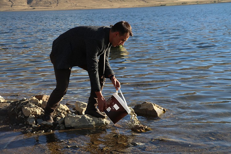 Kırklartepe Barajı'na 232 bin sazan yavrusu bırakıldı