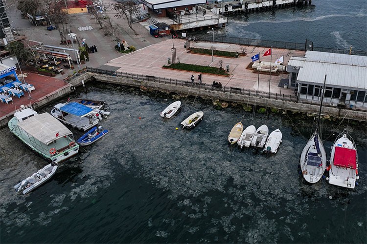 Adalar bölgesinde müsilaj görülmeye devam ediyor