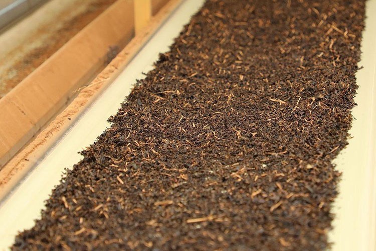 Türk çayı 7 ayda 17,2 milyon dolar kazandırdı