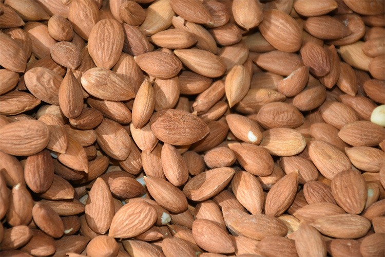 Kayısı çekirdeği ihracatından 10 milyon dolar gelir