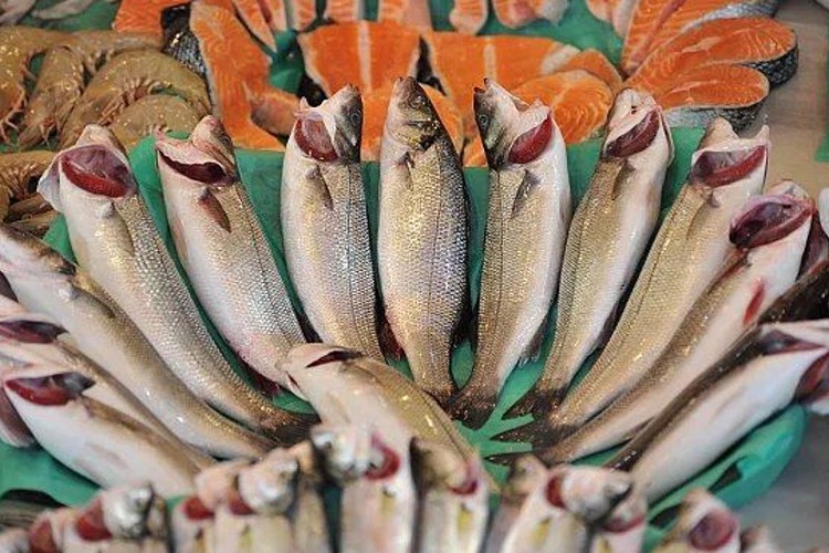 Karadeniz'in su ürünleri ihracatı geçen yıl 400 milyon doları aştı