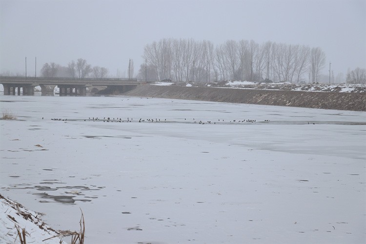 Kızılırmak'ın bazı bölümleri ve Serpincik Göleti buz tuttu