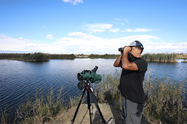 Türkiye'nin kuzeyinde 23 yıldır yaban hayatını araştırıyor