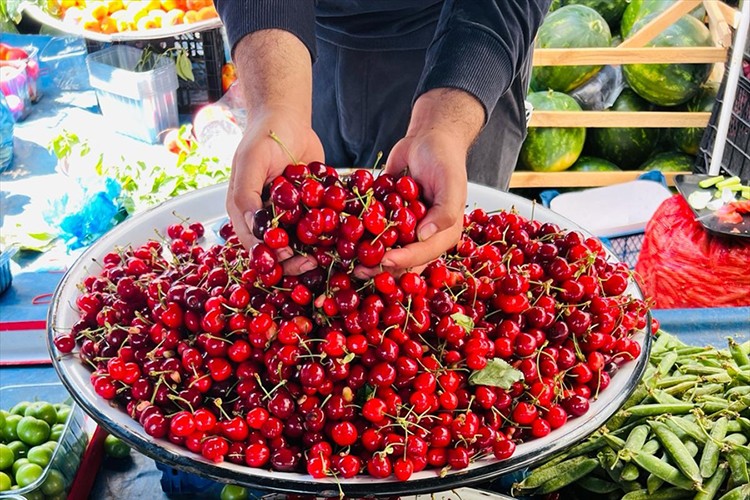 Antalya sebze-meyve üretiminde Türkiye'nin lideri
