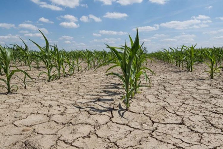 Tarımda kuraklığa karşı alternatif yol atık suyun arıtılarak kullanımı