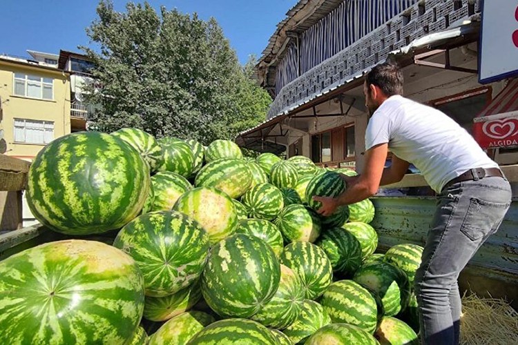 "Hıdıroz karpuzu" tezgahlarda