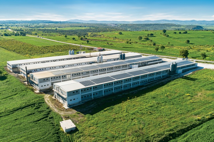 Banvit BRF, arıttığı suyun yüzde 51'ini içme suyu kalitesinde geri kazandı…