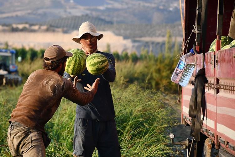 Karpuz ihracatı 9 ayda 21 milyon doları geçti