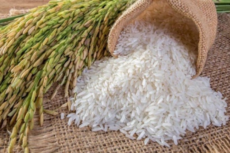 Çeltik alımları başlıyor