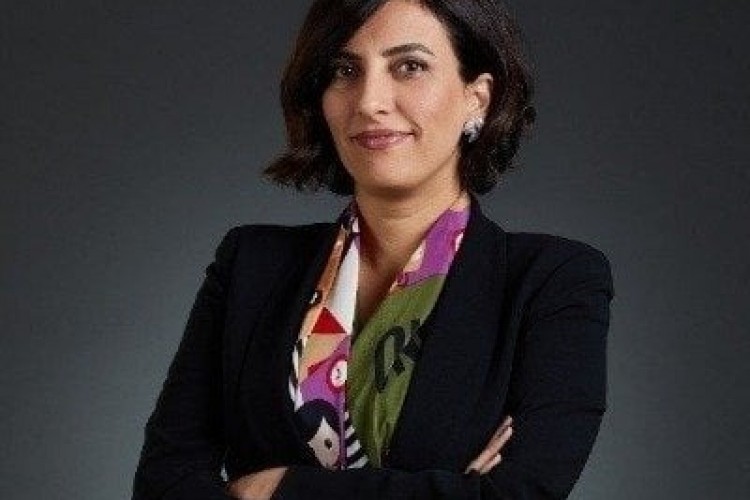 Milletvekili Rızvanoğlu İliç'te yaşanan çevre felaketini TBMM gündemine taşıdı