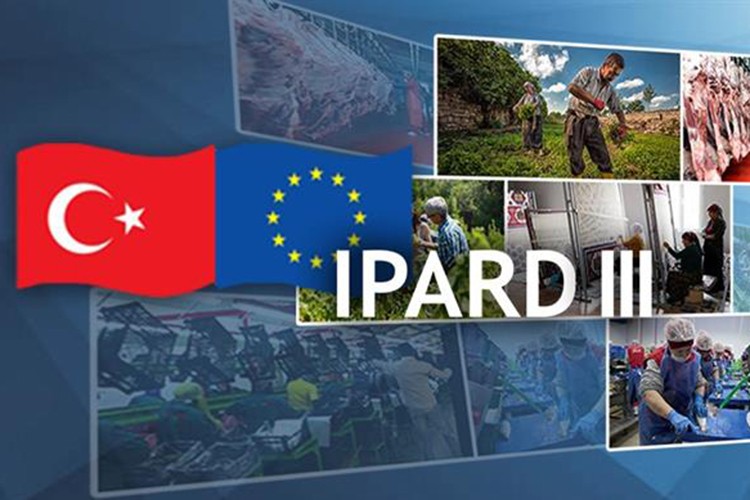 IPARD programlarıyla 14 yılda 26 bin projeye destek sağlandı