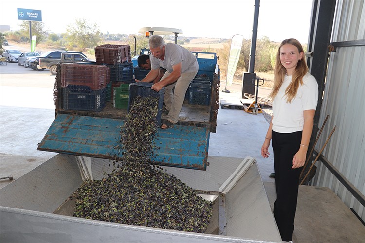 Zeytinle gelir ve katma değer sağlıyor