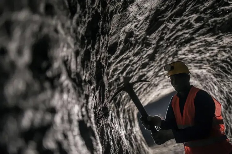 Mikroorganizma madenciliği başlıyor