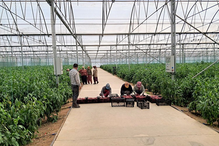 Girişimcilere 200 milyon liralık ilave destek