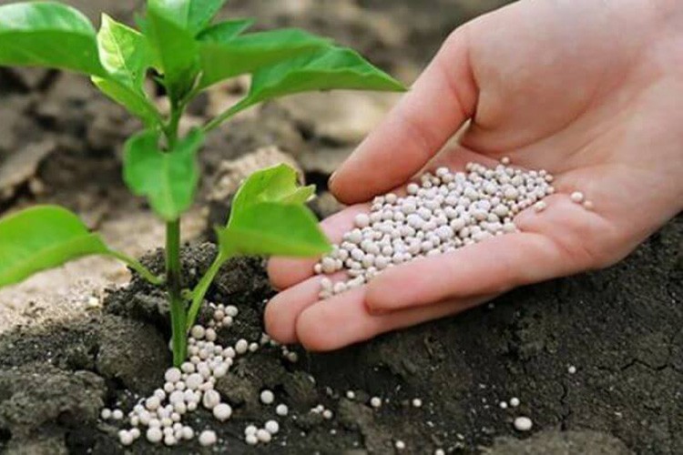 Kimyasal gübrelerin ihracatına kayıt uygulaması getirildi