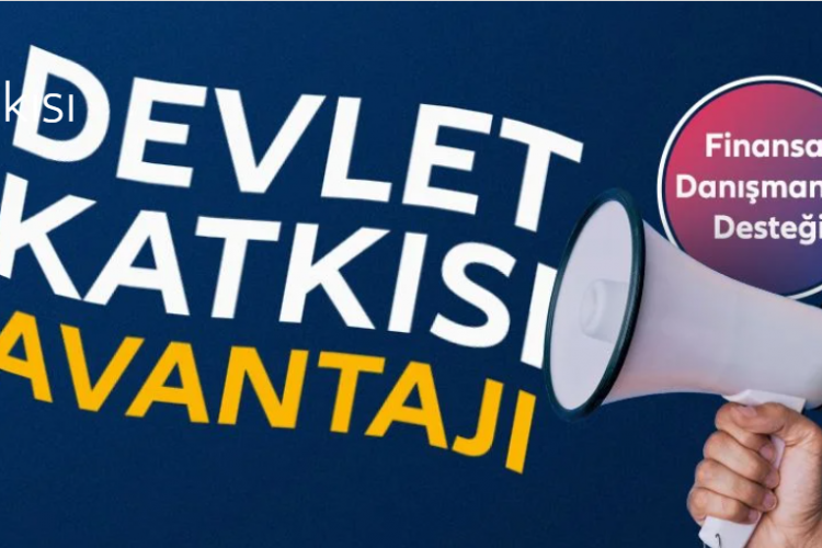 Bireysel Emeklilik Sistemi Rehberi: BES'te Devlet Katkısı Oranları ve Avantajları