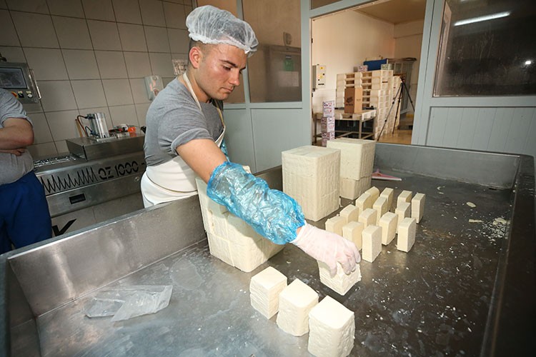 Ezine peynirinin AB'de tescili için gün sayılıyor