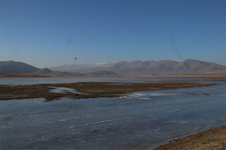 Ağrı'da sulak alanlar buz tuttu