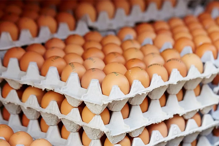 Yumurta ihracatında artırılan fon kesintisi sürdürülecek