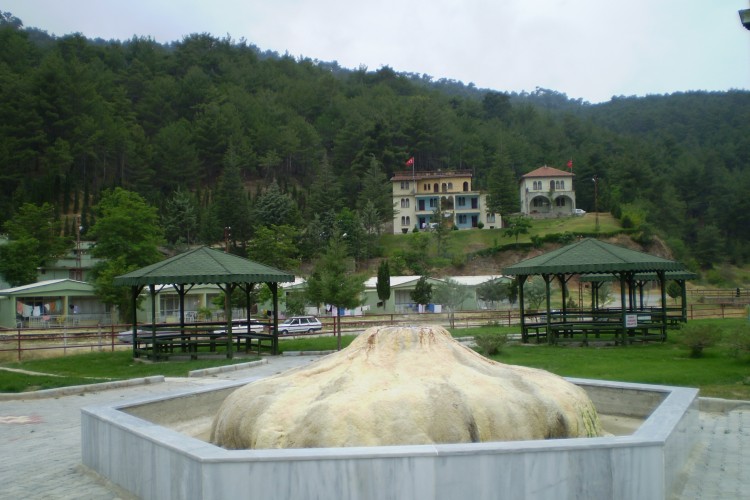 Kaplıca kiralanacak