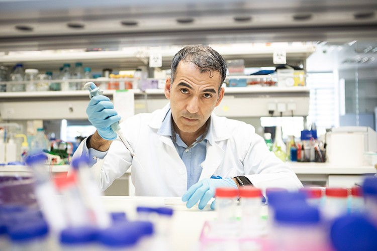 Prostat kanserini odağında yok edecek yeni ilaç