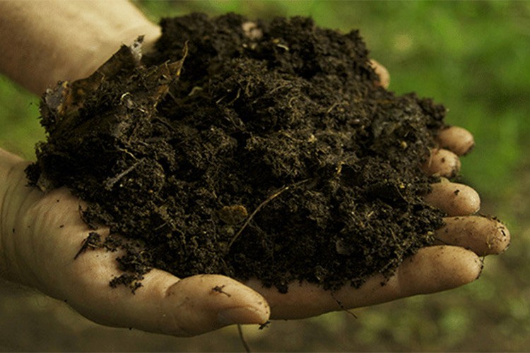 Üreticilere organik gübre kullanmaları tavsiyesi