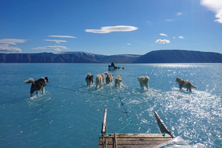 Grönland'ı almak istiyor