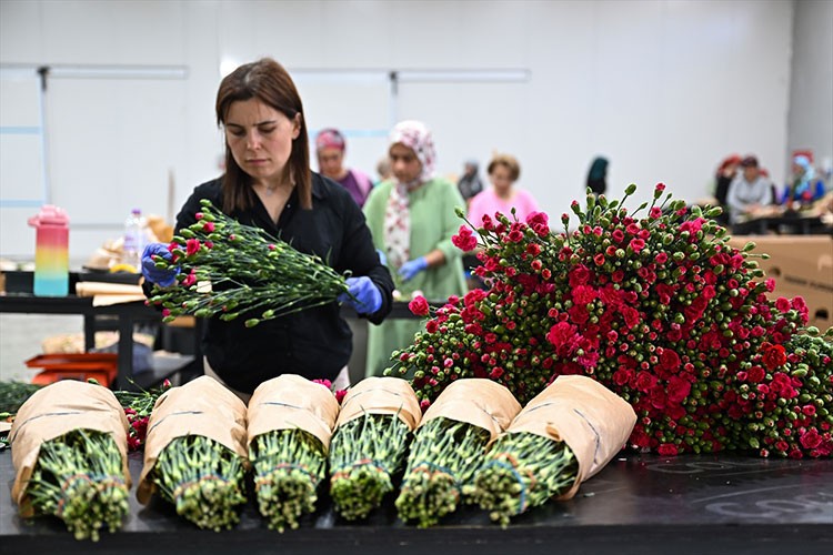 Anneler Günü için 30 ülkeye çiçek ihraç edildi