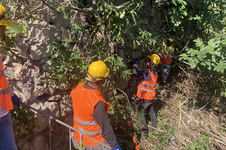 Amasra Kalesi'ne zarar veren ağaç kökleri temizleniyor