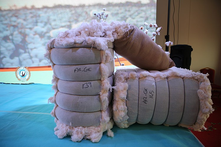 Türkiye'de bu yıl lif pamuk üretim hedefi 1 milyon ton