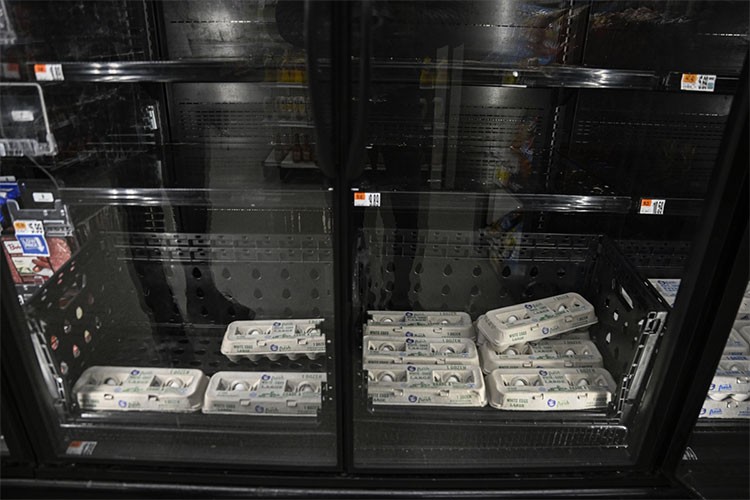 ABD'de kuş gribi salgını yumurta fiyatlarını artırdı