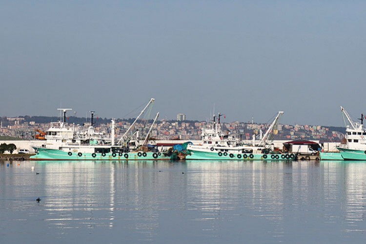 Balıkçı umudunu çaça'ya bağladı