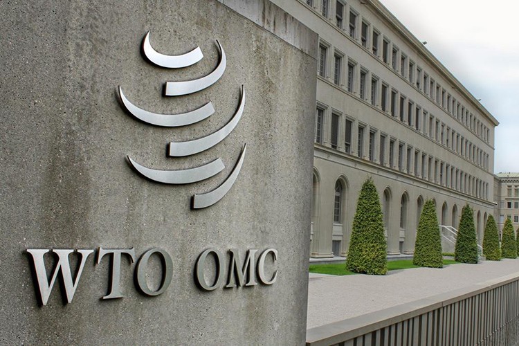 "Küresel mal ticareti muhtemelen yavaşlayacak"