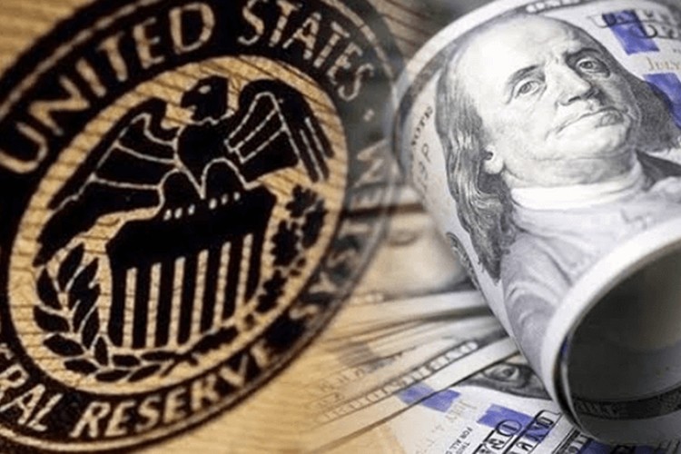 Faiz indirimi sürüyor