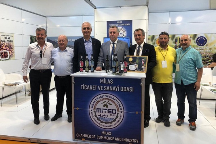 Milas zeytinyağı bir sağlık iksiridir