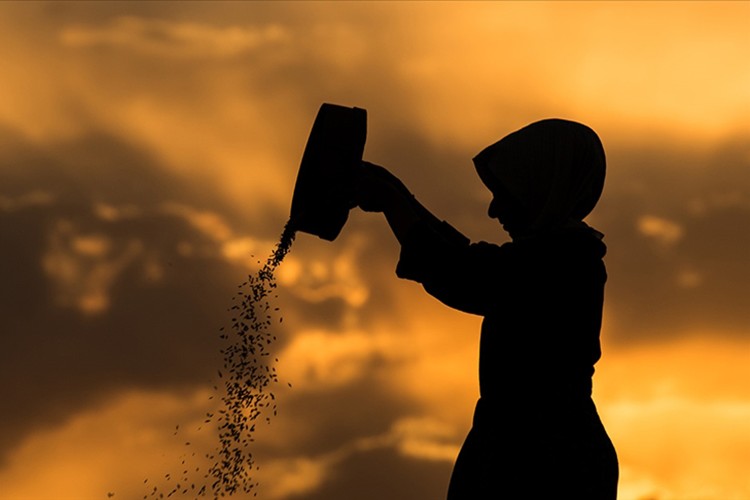 3,6 milyon kadın çiftçiye eğitim