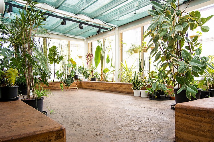 Kış Bahçesi programları devam ediyor