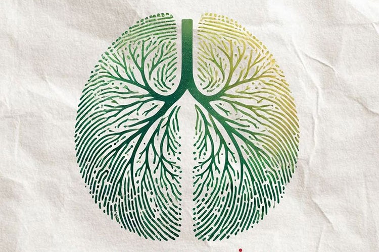 SEGM Ortak Miras & Ortak Gelecek Buluşmaları 15 Mayıs'ta