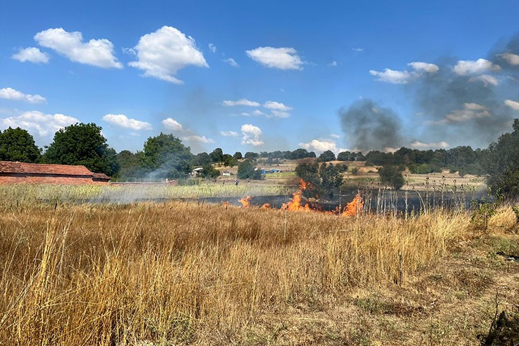 Bilecik'te otluk alanda çıkan yangın söndürüldü