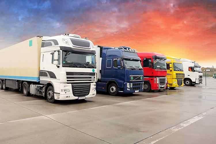 Deprem bölgesindeki lojistik ağı ayağa kaldıracağız