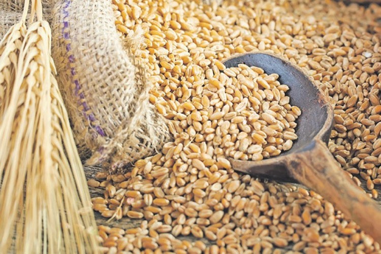 Buğday fiyatları üç haftanın zirvesinde