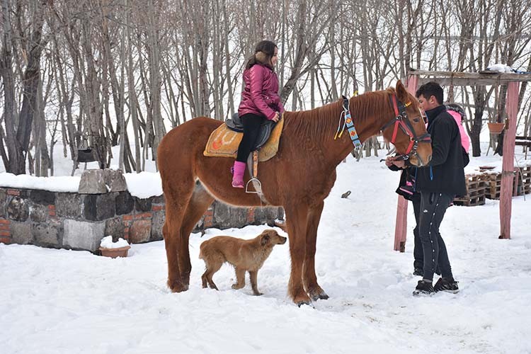 Tur operatörlerinin yeni rotası Koşapınar