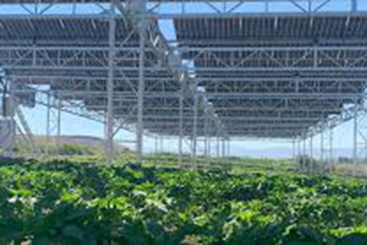 Türkiye'de dönüşüm tarlada başladı