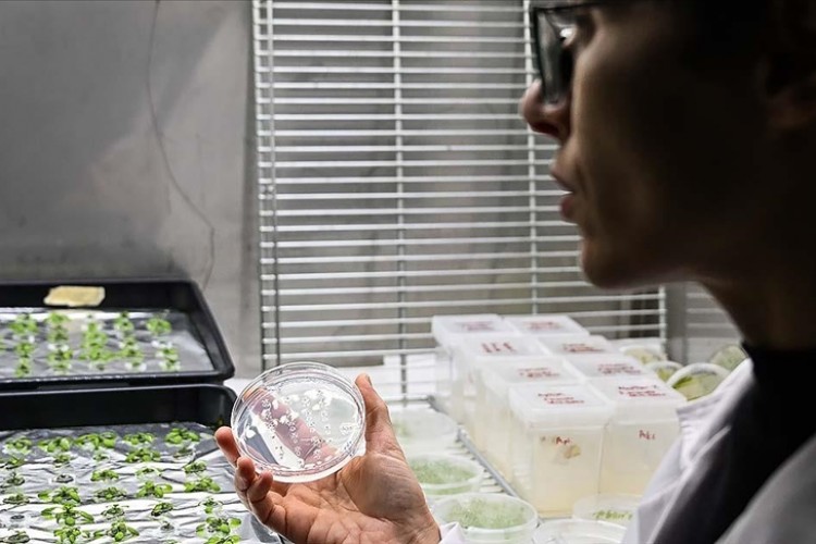 13 deneyde terimler öne çıktı